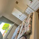 4 Pfoten Apartment Vrees