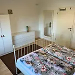 4 Pfoten *
