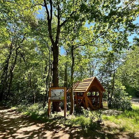 4 Pfoten Appartement Vrees