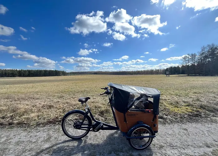 4 Pfoten Appartement *