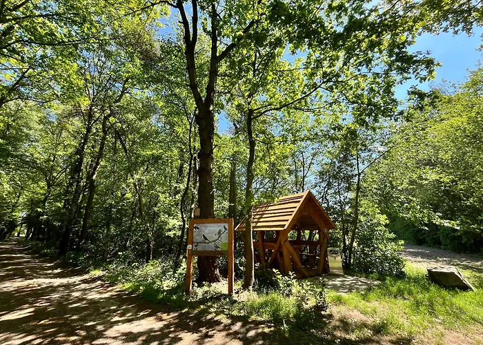 4 Pfoten Appartement Vrees